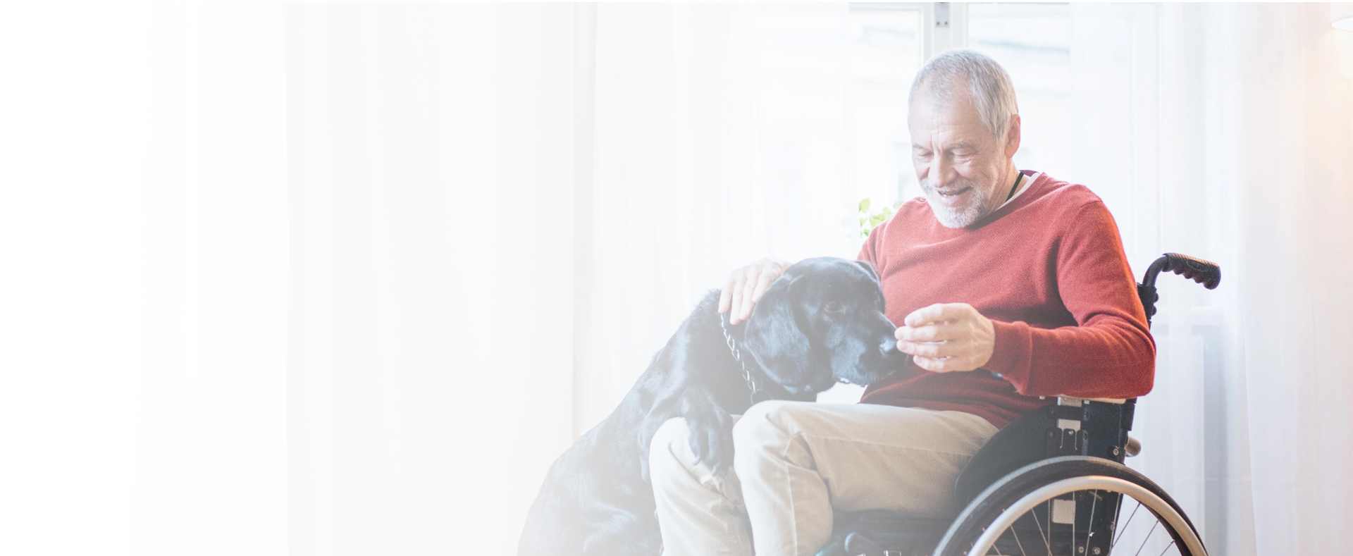 MG GOVERNMENT SERVICES