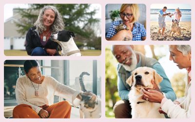 Pet Therapy for Aging Adults