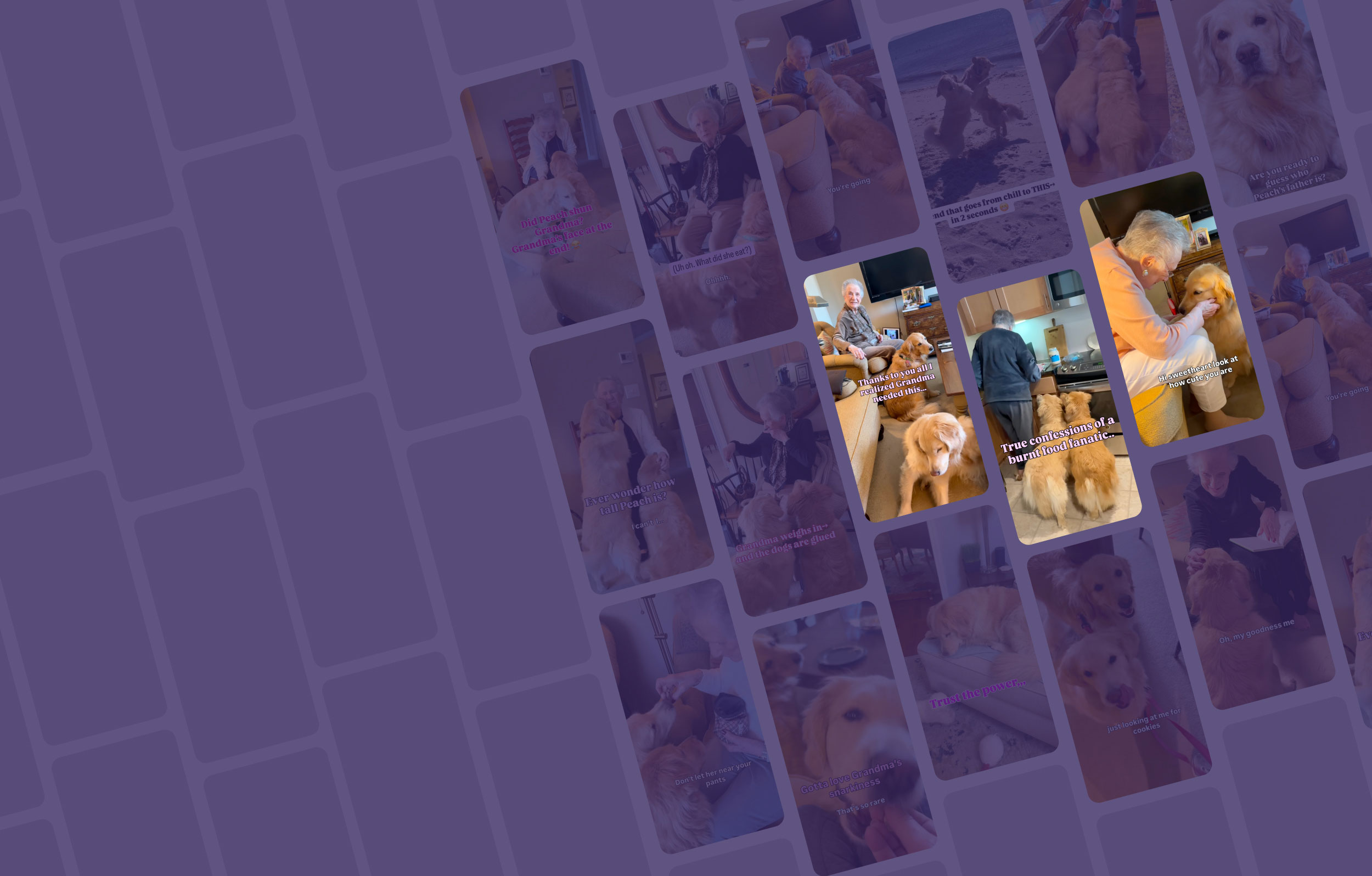 Background Image for riskyandthegiantpeach