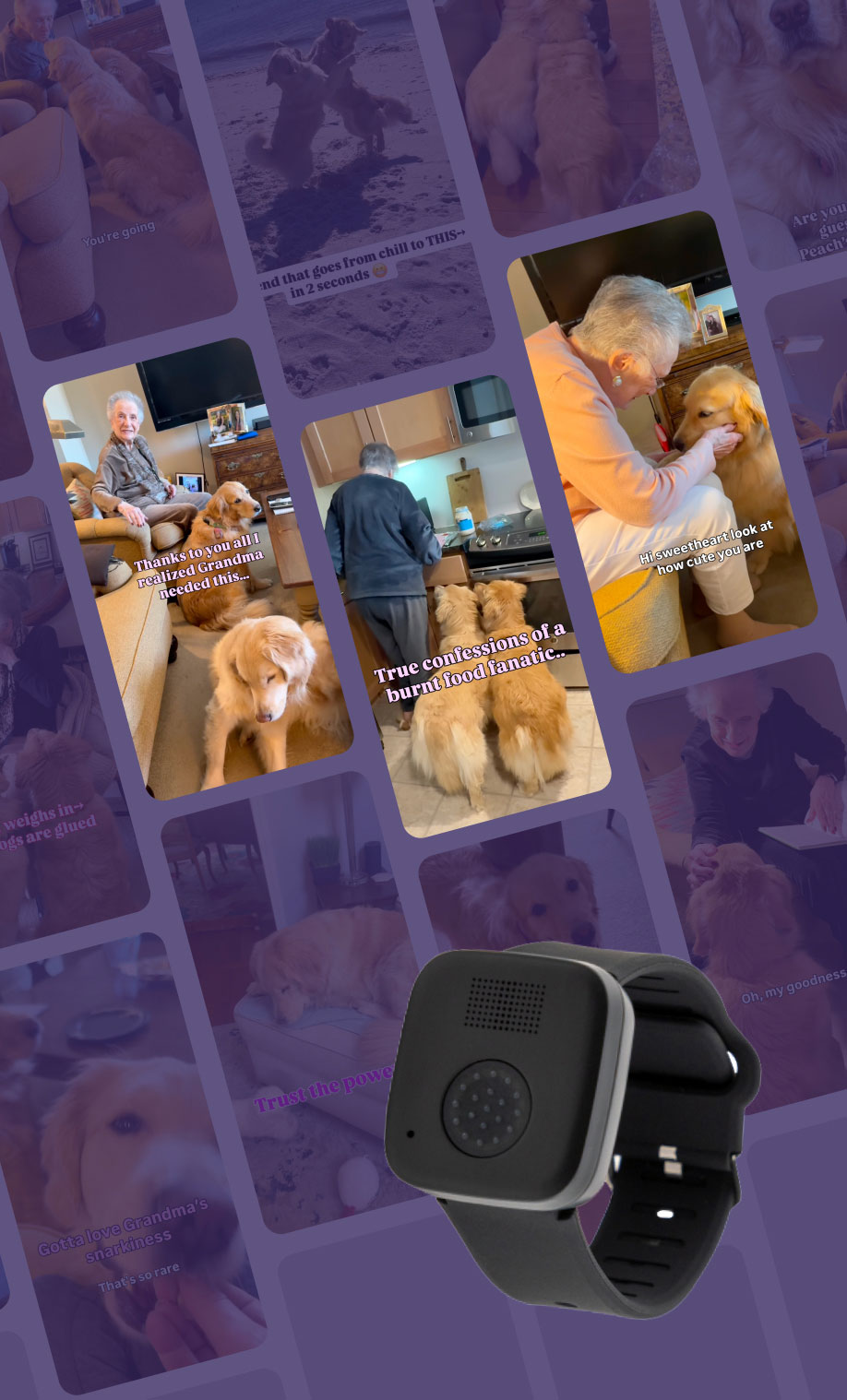 Riskyandthegiantpeach Exit Pop Image