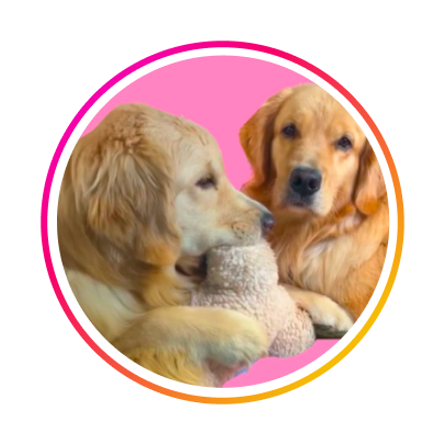 Riskyandthegiantpeach Profile Pic