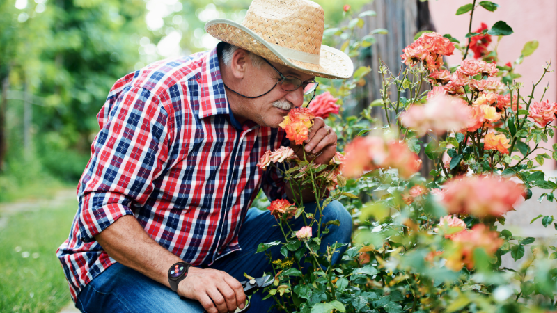Man Gardening
