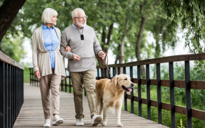 Senior Falls in America: How Widespread Is the Problem?