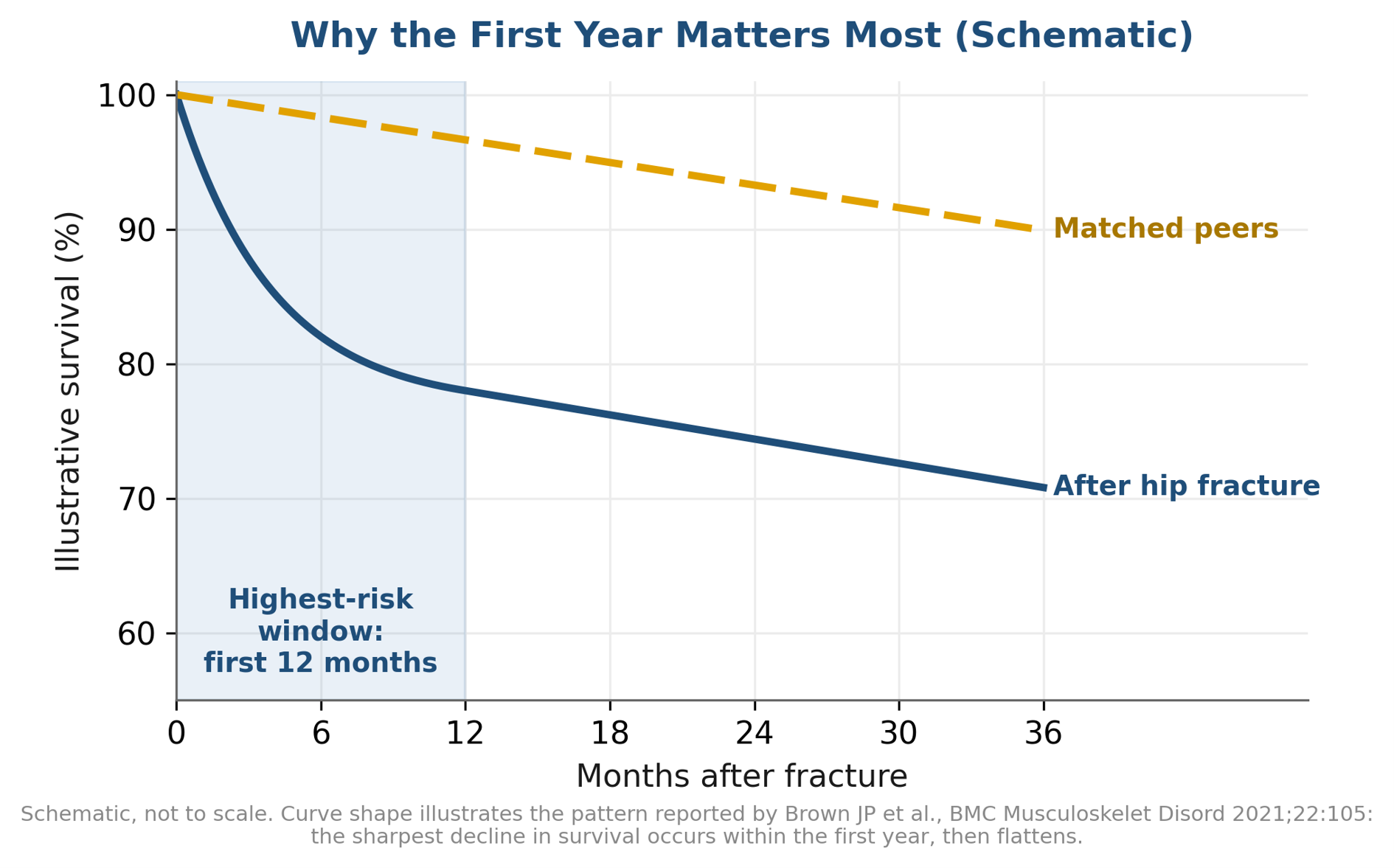 Why the First Year After a Fall Matters Most (Schematic)