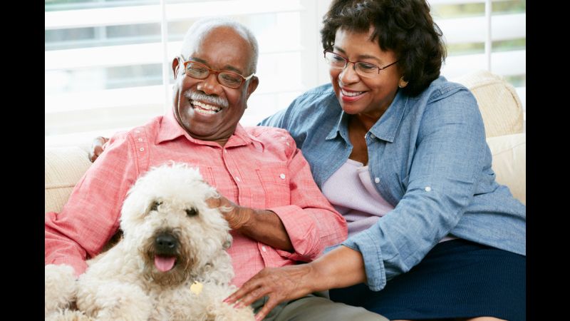 Meals on Wheels’ PALS Program: Feeding Seniors And Their Pets