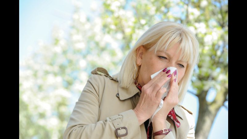 How to Survive Allergy Season